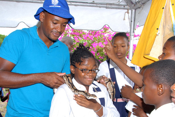 UDC Collaborates with NEPA to Host the 7th Annual Hellshire Enviro Fair