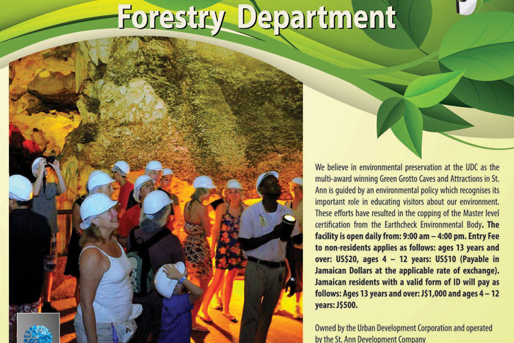 Forestry Department 80th Anniversary