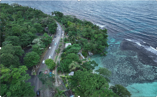 REQUEST FOR OFFERS TO LEASE  LAND PART OF BELMONT, ST ANN